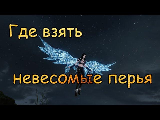 #129 ArcheAge. Где взять невесомые перья для ускорения глайдера