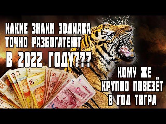 Какие знаки зодиака точно разбогатеют в 2022 Кому крупно повезет с деньгами в год Тигра