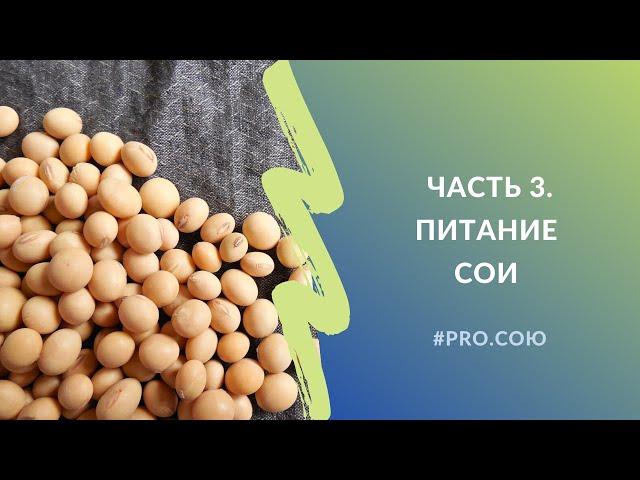 Часть 3. Питание сои | Пять вечеров PRO.СОЮ