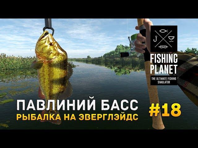 Fishing Planet #18 - Павлиний Басс. Рыбалка на Эверглэйдс