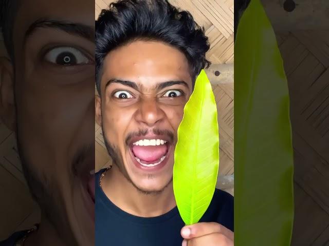 TASTY! THE MOST FUN POPSICLE IN Mango Leaves  ASMR #shorts