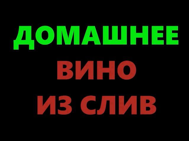 Домашнее вино из сливы - простой рецепт приготовления. Часть 1