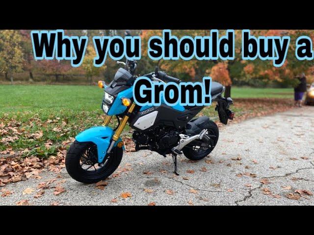 6 Reasons Why you should buy a Honda Grom!