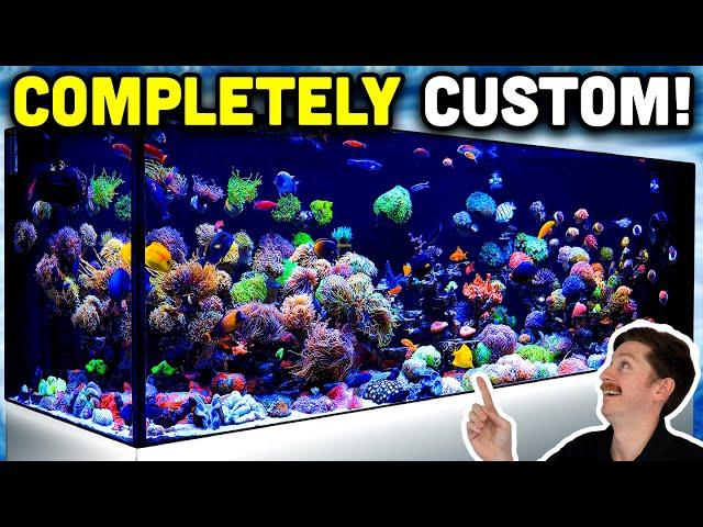 800 Gallon Custom Reef Tank Tour! FULLY LOADED with Fish and Corals!