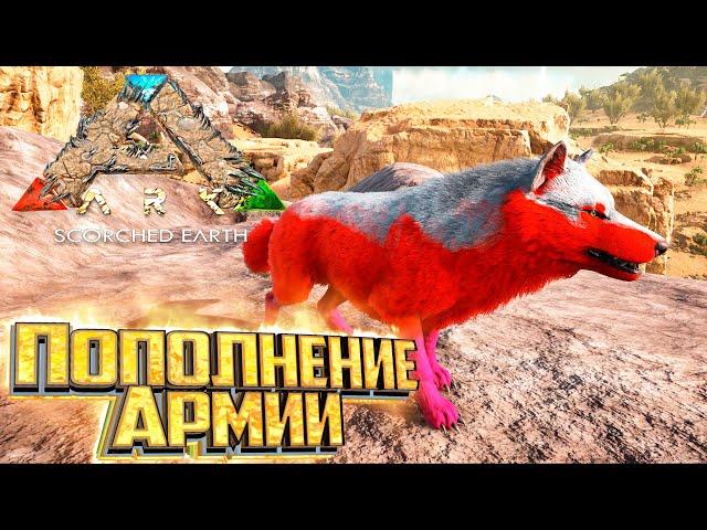 Приручаем Волка и Фарм Отряд - ARK Survival Scorched Earth Выживание #3