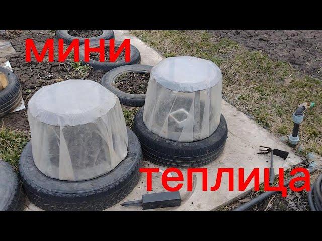 Такой теплицы ты ещё не видел!  mini greenhouse #самоделки #своимируками #садиогород