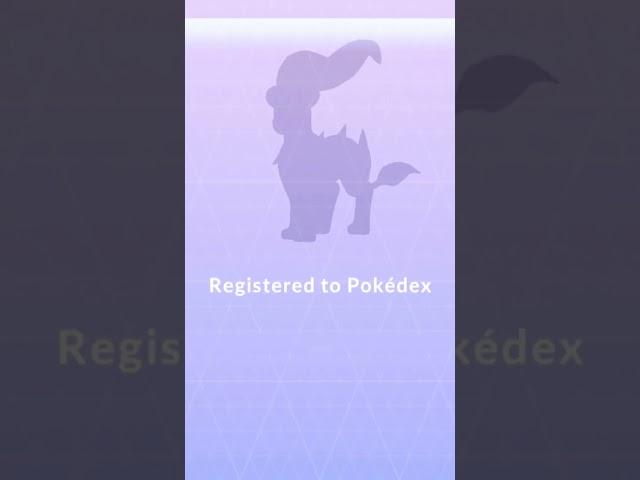 Finally I Got Hundo Pyroar in #pokemongo