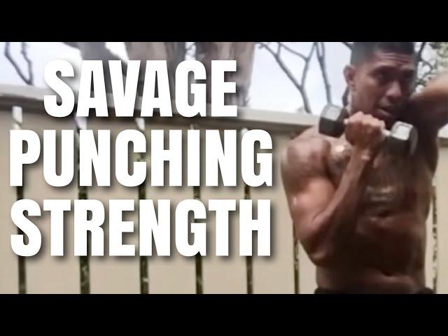 Build SAVAGE PUNCHING STRENGTH with this dumbbell workout