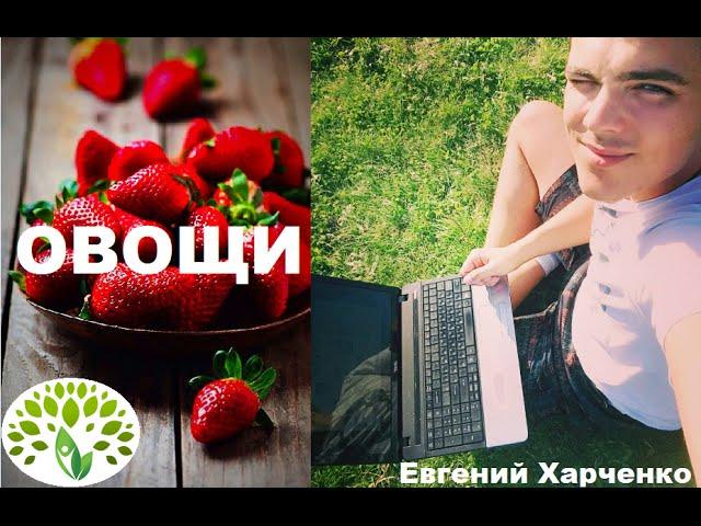 ОВОЩИ  l Евгений Харченко