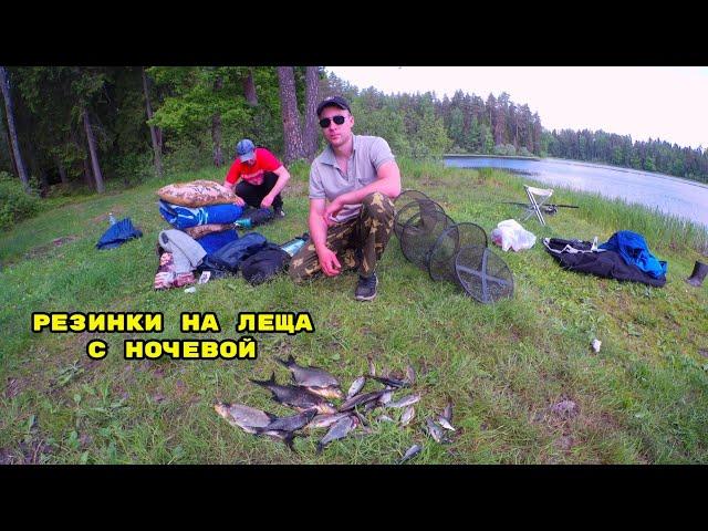 РЫБАЛКА НА РЕЗИНКИ, СОШЕЛ КАКОЙ ТО ГИГАНТ! ПРИРОДА С НОЧЕВКОЙ. 09.06.2022