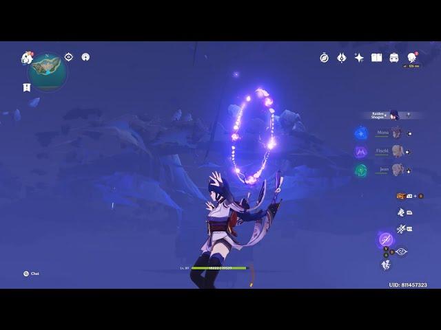 Raiden Shogun bugged to Another Dimension