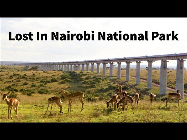 GAME DRIVE NAIROBI NATIONAL PARK | LOST IN THE PARK | THE ONLY NATIONAL PARK IN A CITY | LIV KENYA