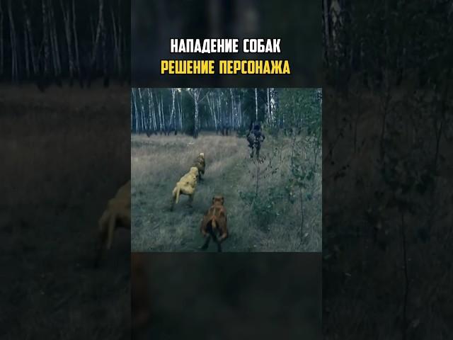 ⭐️ Нападение СЛЕПЫХ ПСОВ - РЕШЕНИЕ ПЕРСОНАЖА - Логика Сталкера | #сталкер #видеоигры