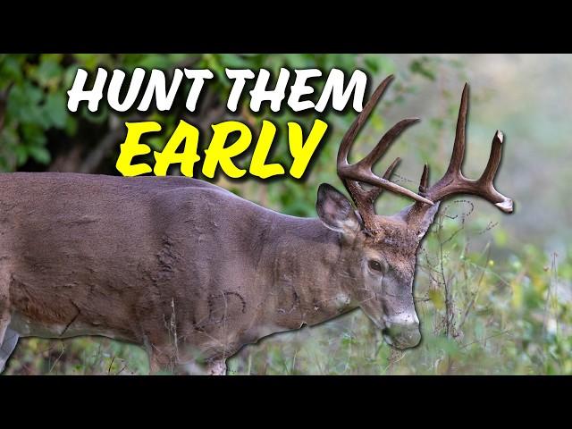 Stop skipping morning hunts in EARLY SEASON! A guide to buck hunting early