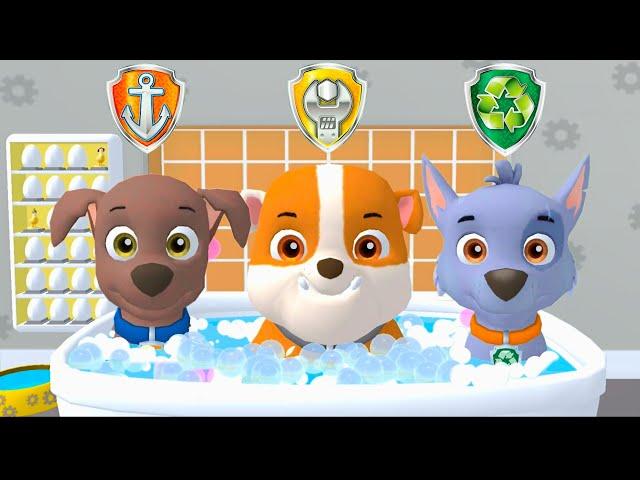 PAW Patrol - A Day in Adventure Bay - Zuma & Rubble & Rocky - Nick. Jr HD @PawPawGo