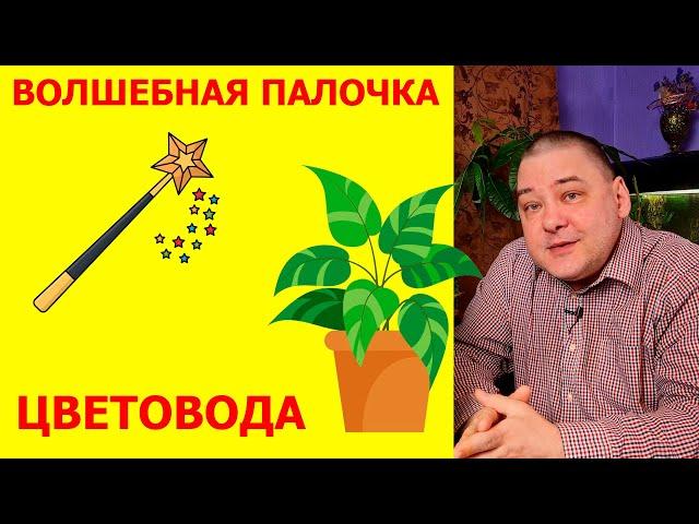 Волшебная палочка цветовода. Индикатор просушки грунта
