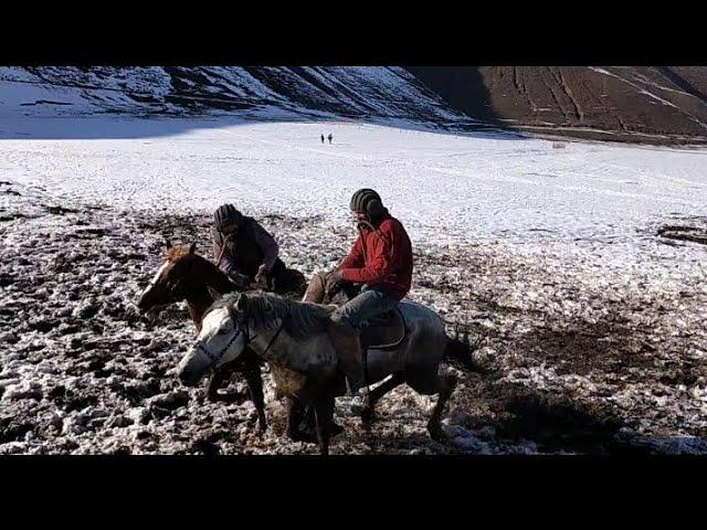 Бузкаши дар Мискинобод кисми1 20 11 2022