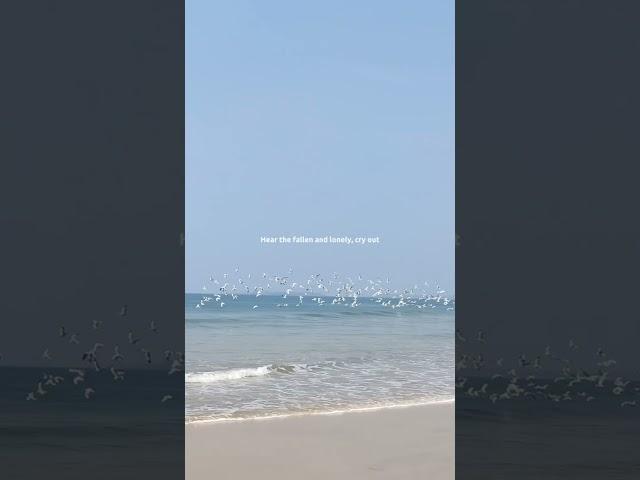 Malvan dhakka.    #malvan #kokan #cinematic #travel #trending #shorts #status