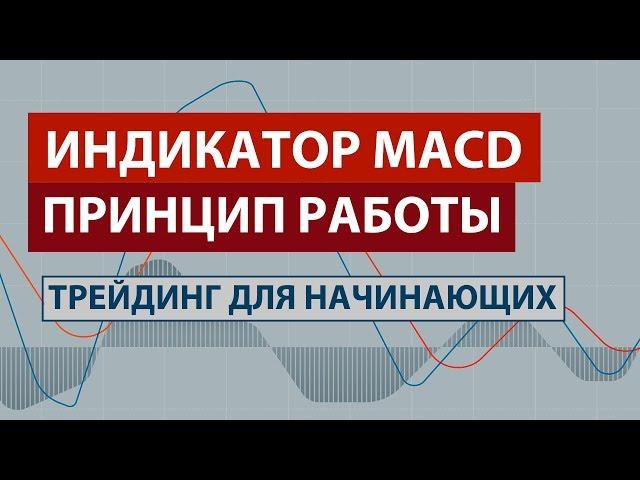 ИНДИКАТОР MACD - ПРИНЦИП РАБОТЫ / ДИВЕРГЕНЦИЯ / ТРЕЙДИНГ для НАЧИНАЮЩИХ