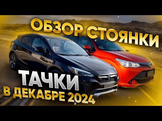 Тачки наших клиентов в ДЕКАБРЕ. Обзор стоянки! Swift, XV, Fielder, Freed, StepWGN, Highlander