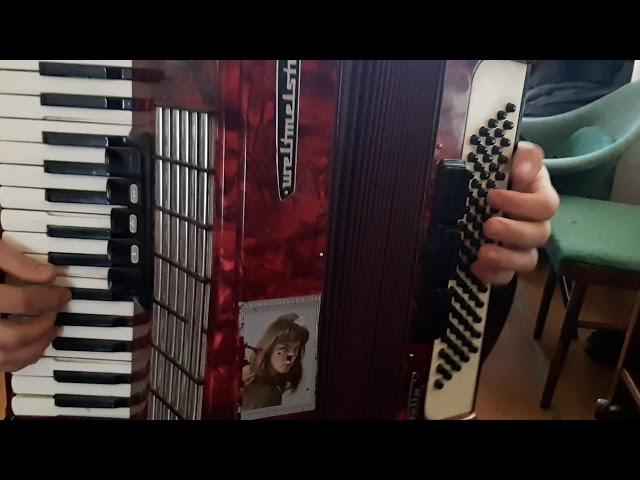 Papito-akordeon-akordion-accordion