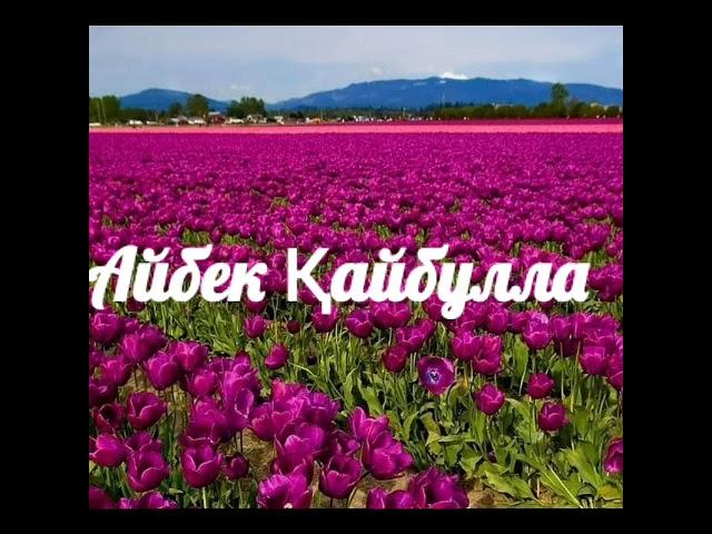 Көрші қыз.Айбек Қайбулла.