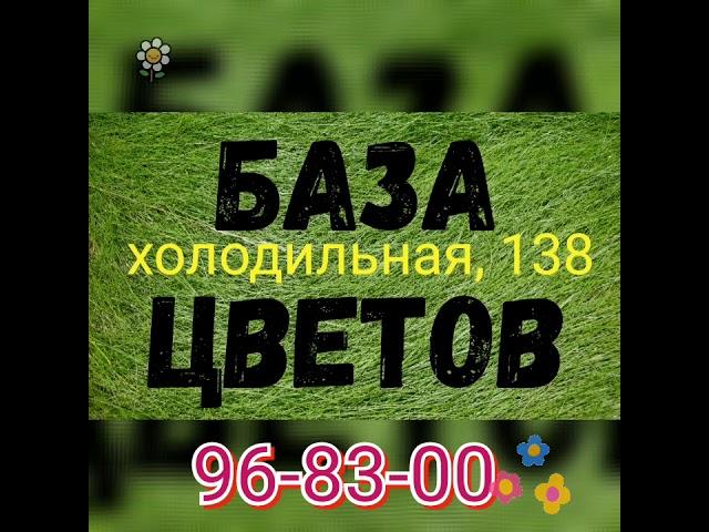 Купить гортензии в букетах недорого. Цены на цветы дешевые