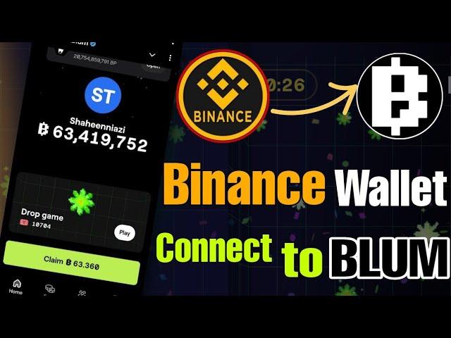 Connect Your Binance Wallet to BLUM in 1 Mint