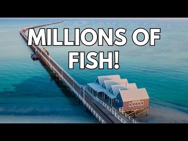 Fishing on Busselton Jetty Wa