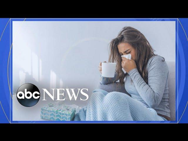 Researchers discover possible cure for common cold l ABC News