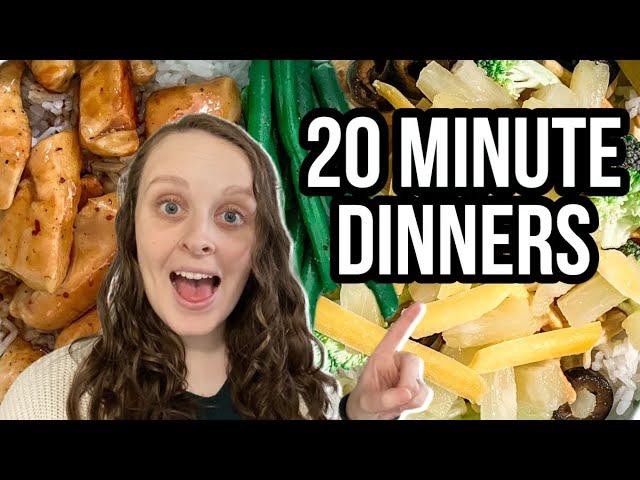 5 QUICK AND EASY 20 MINUTE MEAL IDEAS | Easy Dinner Ideas for Family