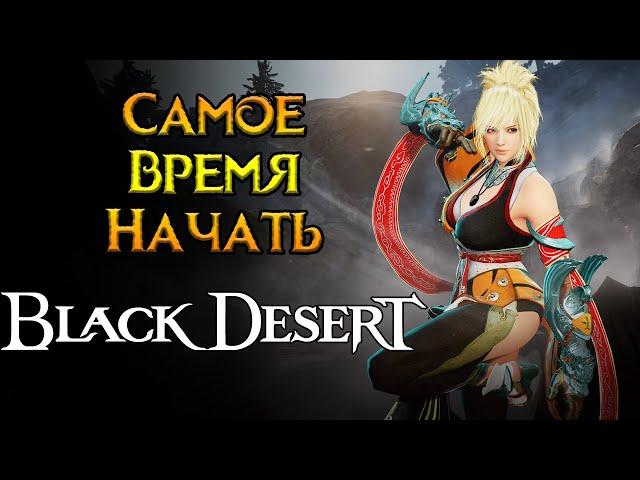 Стоит ли играть Black Desert Online в 2024 году