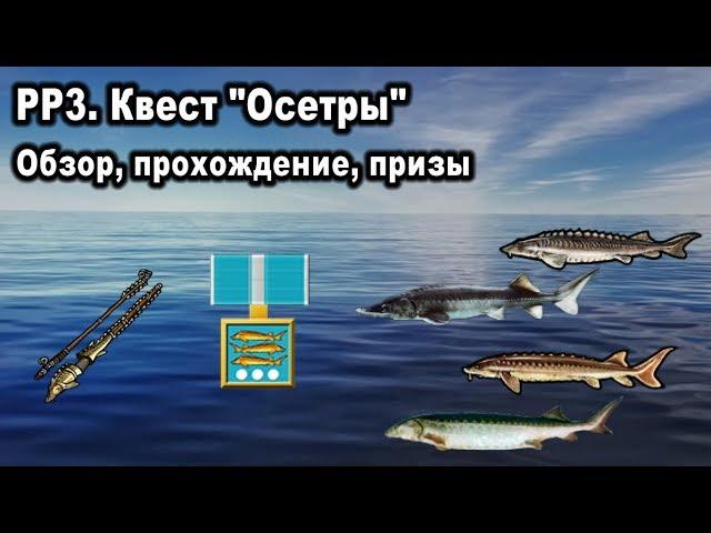 Русская рыбалка 3. Квест "Осетры". Обзор, прохождение, призы за квест.