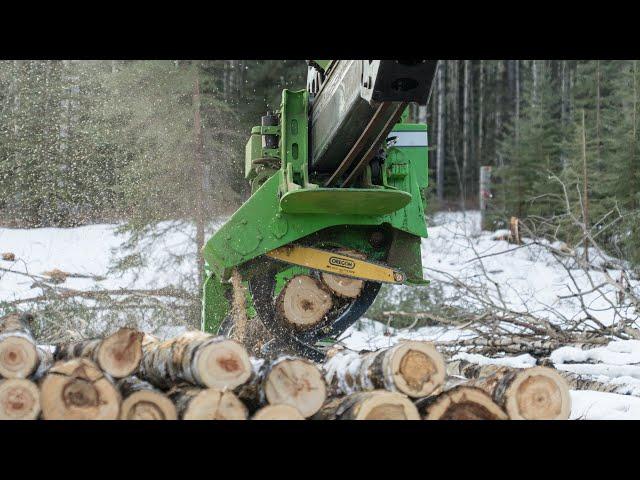 Amazing wood and forestry machines you must see