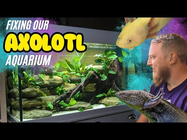 Axolotl Paradise: Setting Up the Ultimate Axolotl Tank! (Big cleanout and revamp!)