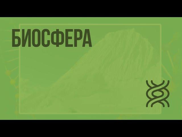 Биосфера. Видеоурок по биологии 11 класс
