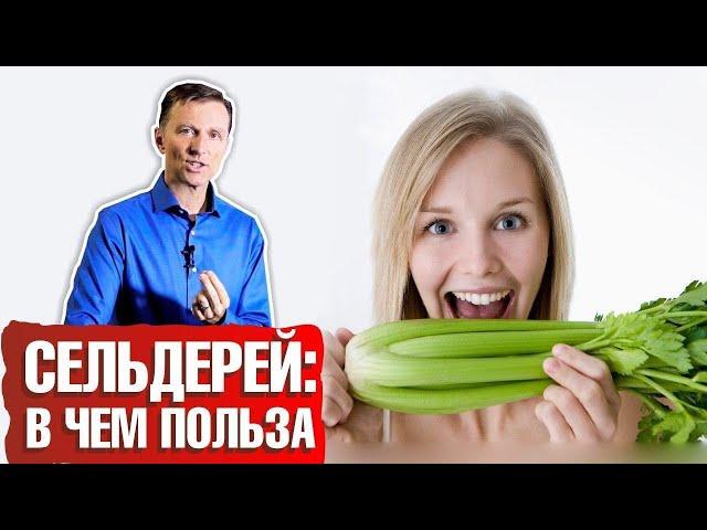 Чем полезен сельдерей ► Какая польза сельдерея для организма? 