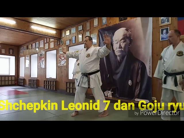 Suparinpei kata (Suparimpei) bunkai application from Sensei Shchepkin Leonid 7 dan Goju ryu OGKK