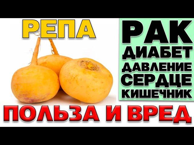 РЕПА - ПОЛЬЗА И ВРЕД  (ЗАБЫТЫЙ КОРНЕПЛОД)