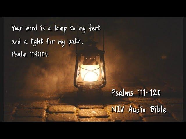 Psalms 111-120 NIV Audio Bible(with text)