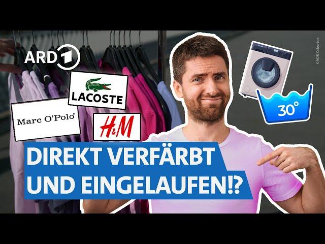 T-Shirts von Zara, H&M, Ralph Lauren, Lacoste & Co.: Ist teuer besser? I NDR Markt