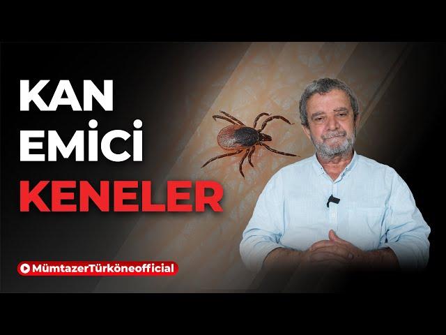 Toplumun Kanını Emen "Keneler" | Prof. Dr. Mümtaz’er Türköne