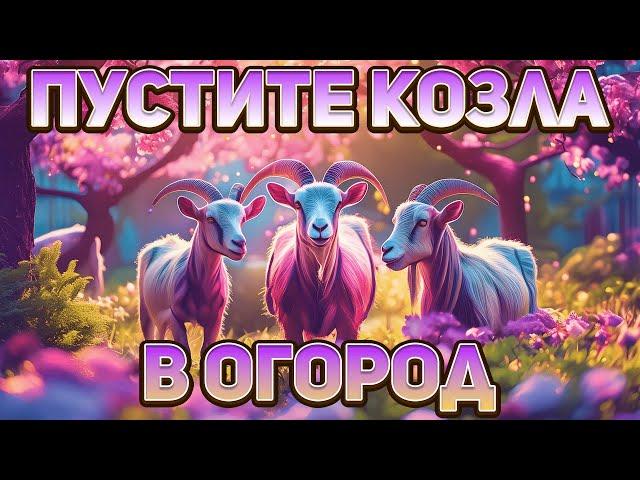 Готовы принимать Козла в огород | Danludan Нарезки |