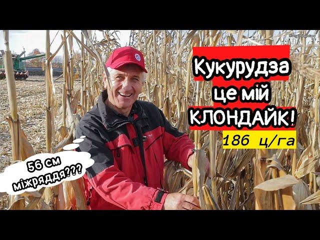 Як ювелір став фермером Кукурудза на 56см - клондайк! Важко бути першим! Сівалка Horsch Maestro 11