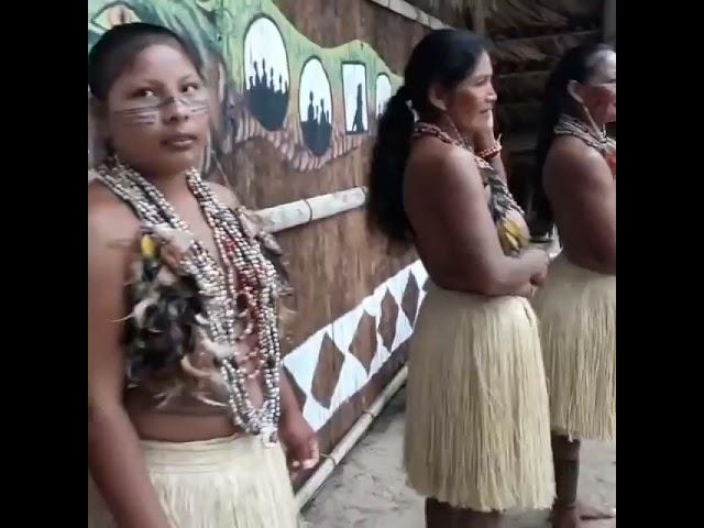 AMAZON BRAZIL local tribes