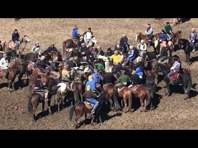 Бузкаши дар султонобот олимчавондоз