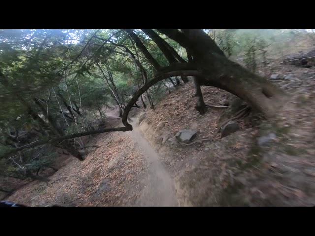 Berkeley to China Camp - Shoreline, Hytler, Hummingbird, San Rafael mountain biking 4k