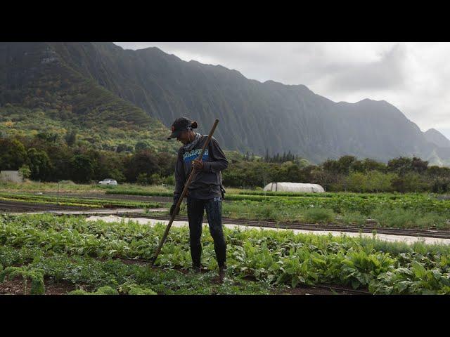 GoFarm Hawaii