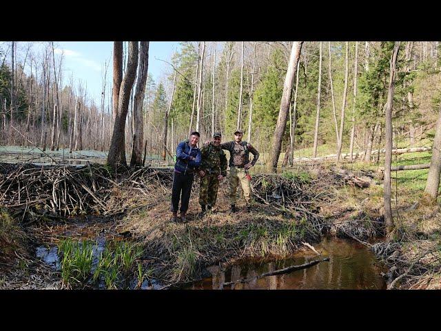 Побег из города в бобровый рай.