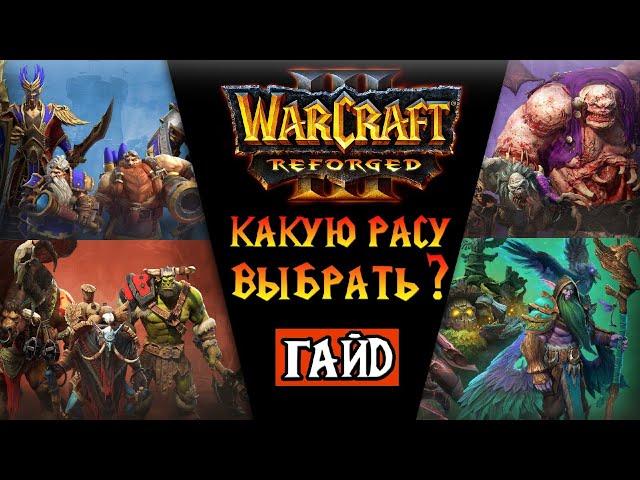 Какую расу выбрать ?//Warcraft 3 Reforged c нуля! Гайд №1